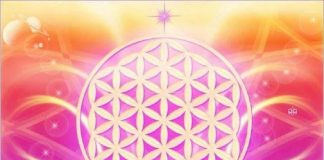 Atelier sur la Géométrie Sacrée